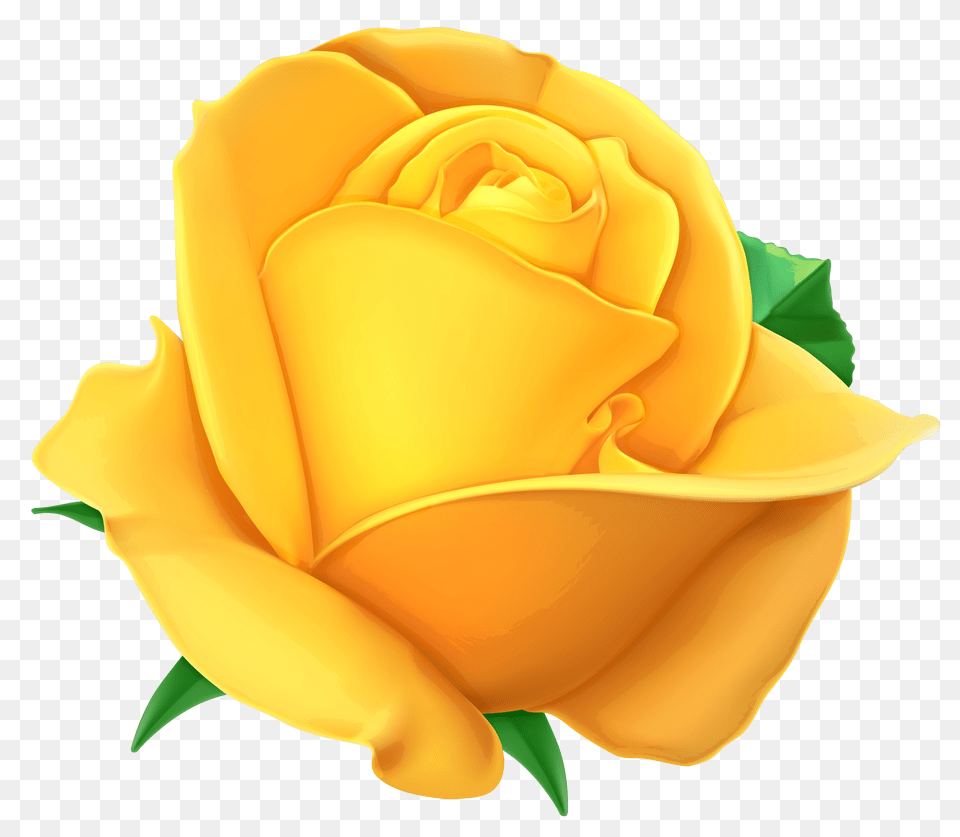 Rose Flower Images Download Background Yellow Rose Clipart, Plant, Petal, Bulldozer, Machine Free Transparent Png