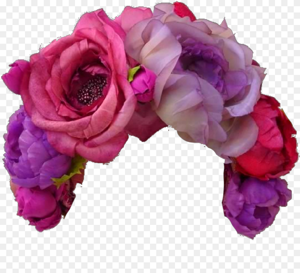 Rose Flower Nature Art Stickers Freetoedit Crown Hybrid Tea Rose, Plant, Flower Arrangement, Petal, Flower Bouquet Free Png