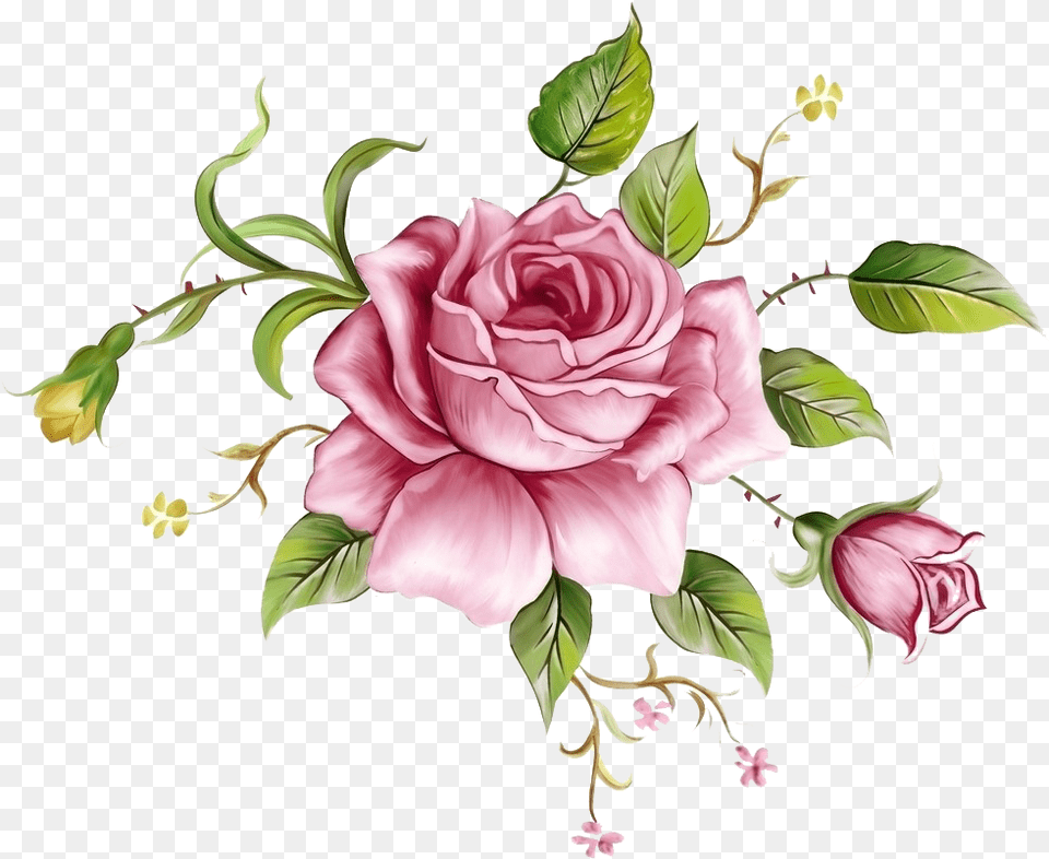 Rose Flower Painting, Art, Floral Design, Graphics, Pattern Png