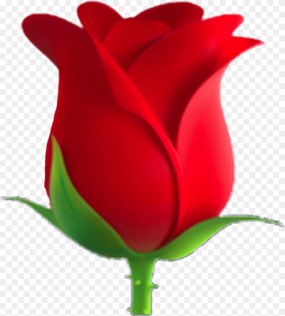 Rose Flower Redflower Emoji Emojis Green Lovely, Plant Png