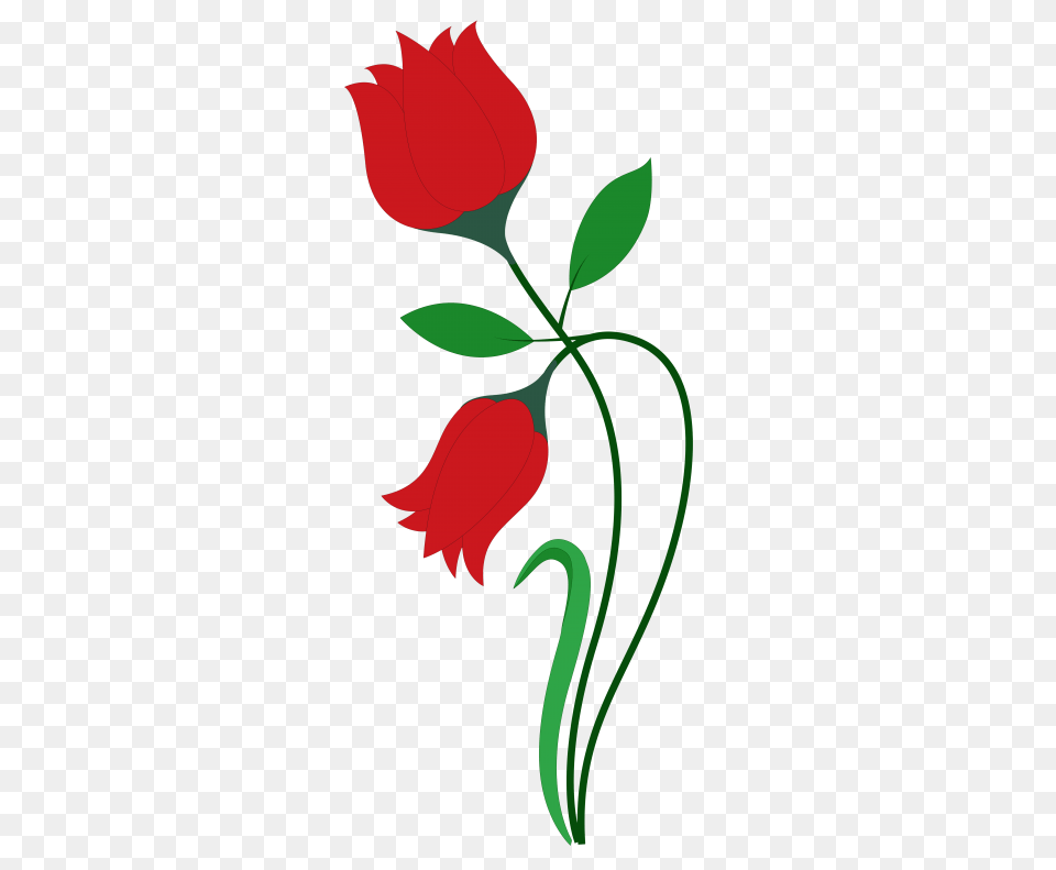Rose Flower Vector, Plant, Art, Floral Design, Graphics Png