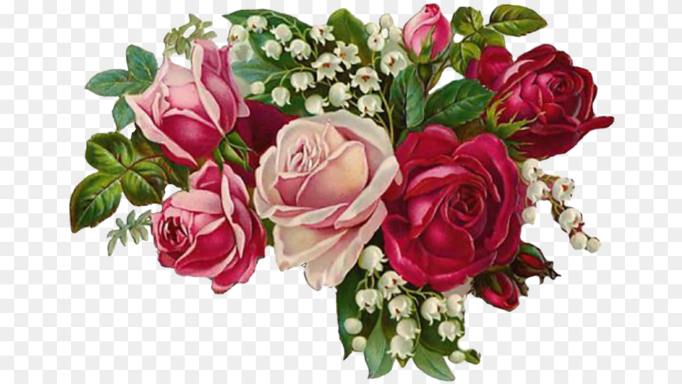 Rose Flower Vintage 1 Red And Pink Rose Hd, Art, Floral Design, Flower Arrangement, Flower Bouquet Png