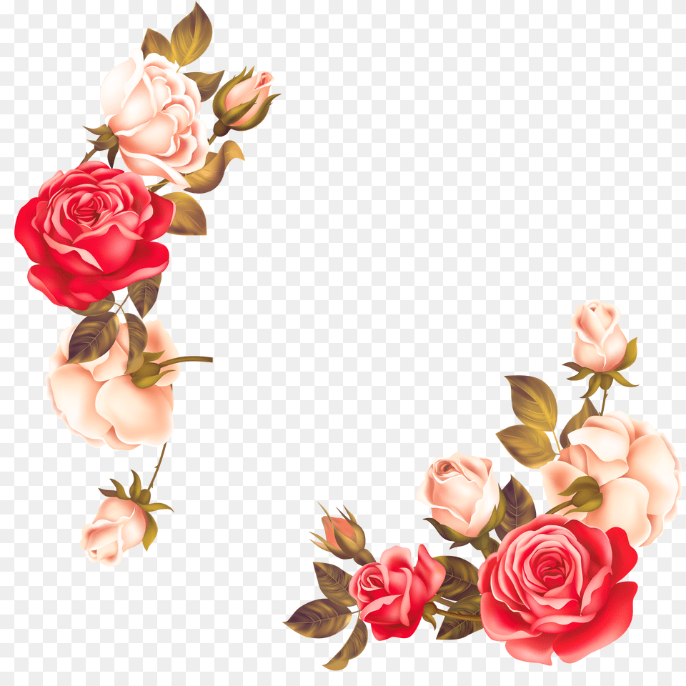 Rose Flowers Border Image Download Searchpngcom Rose Flower Border Design, Plant, Art, Graphics, Floral Design Free Png