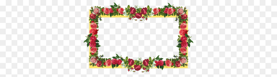 Rose Flowers Clipart, Art, Plant, Pattern, Graphics Free Transparent Png