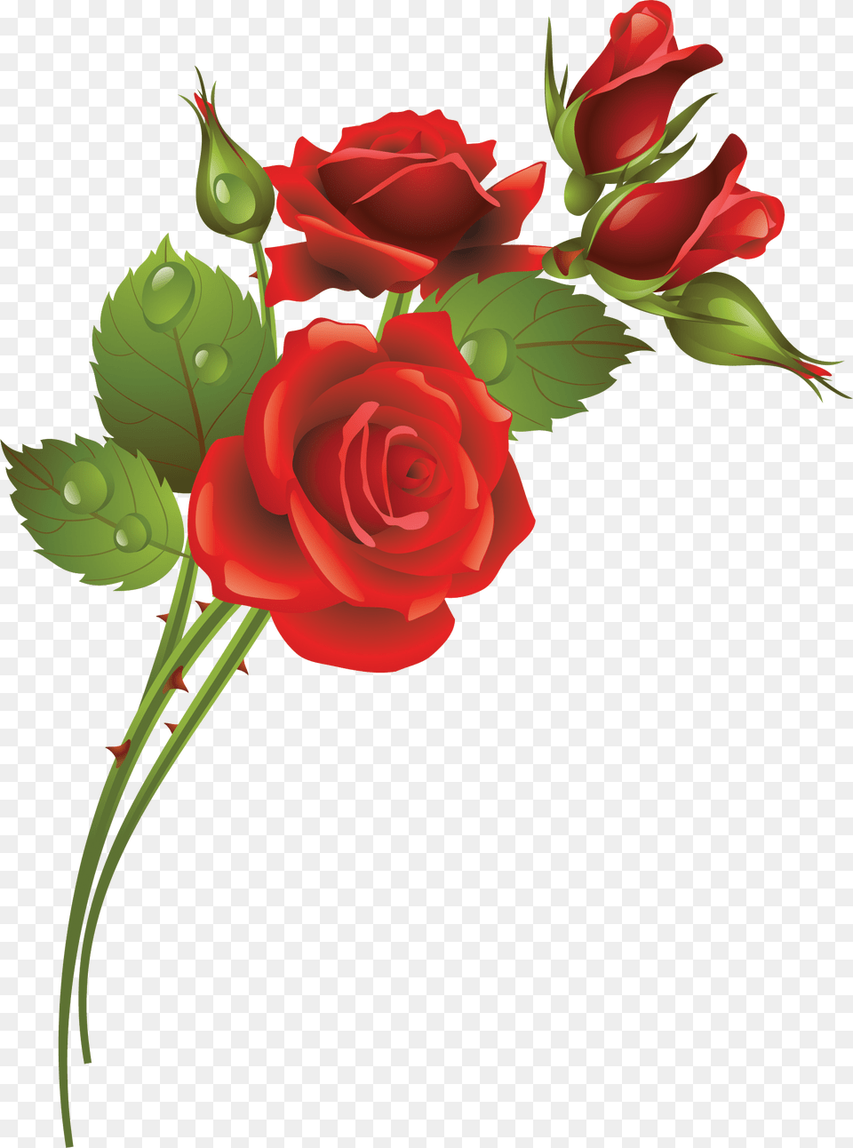 Rose Flowers In Art, Flower, Plant Free Png