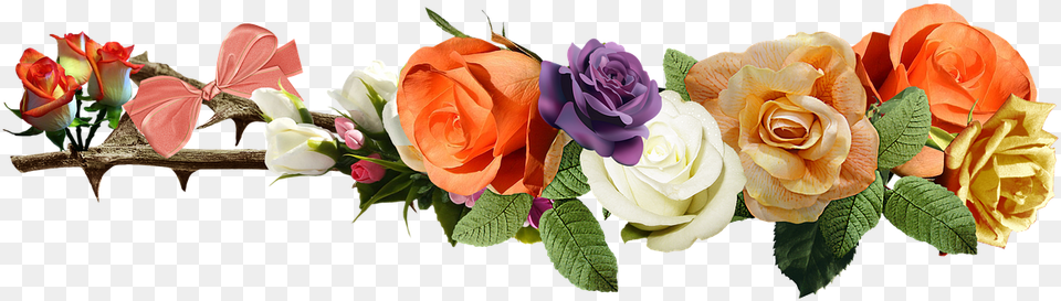 Rose Flowers Love Yellow Roses Rose Leaves, Flower, Flower Arrangement, Flower Bouquet, Plant Free Png