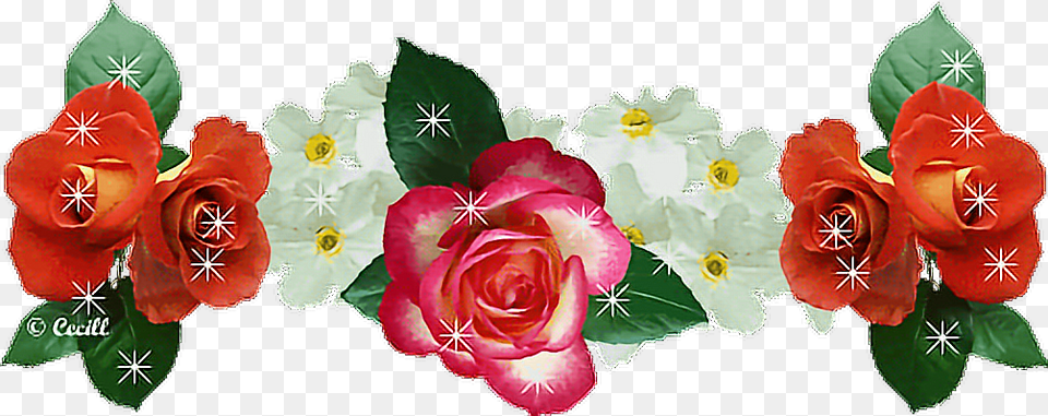 Rose Flowers Snapchat Crown Gif Blestyashie Cveti Animaciya, Plant, Flower, Petal, Pattern Png