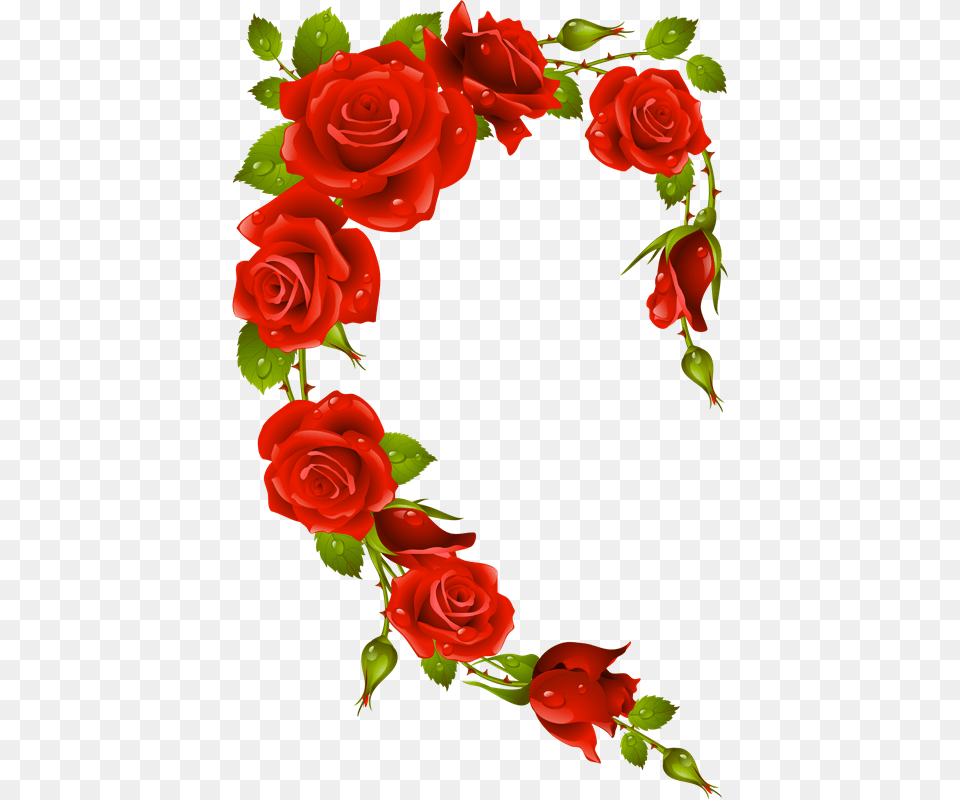 Rose Frame Clipart, Flower, Plant, Flower Arrangement Free Png Download