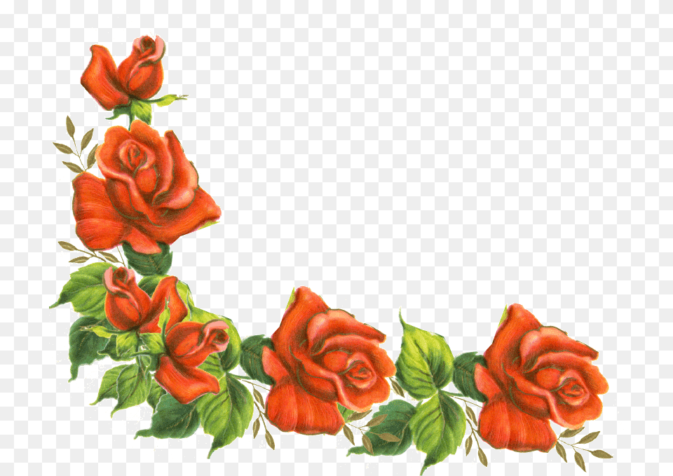Rose Frame Clipart, Art, Floral Design, Flower, Graphics Free Transparent Png