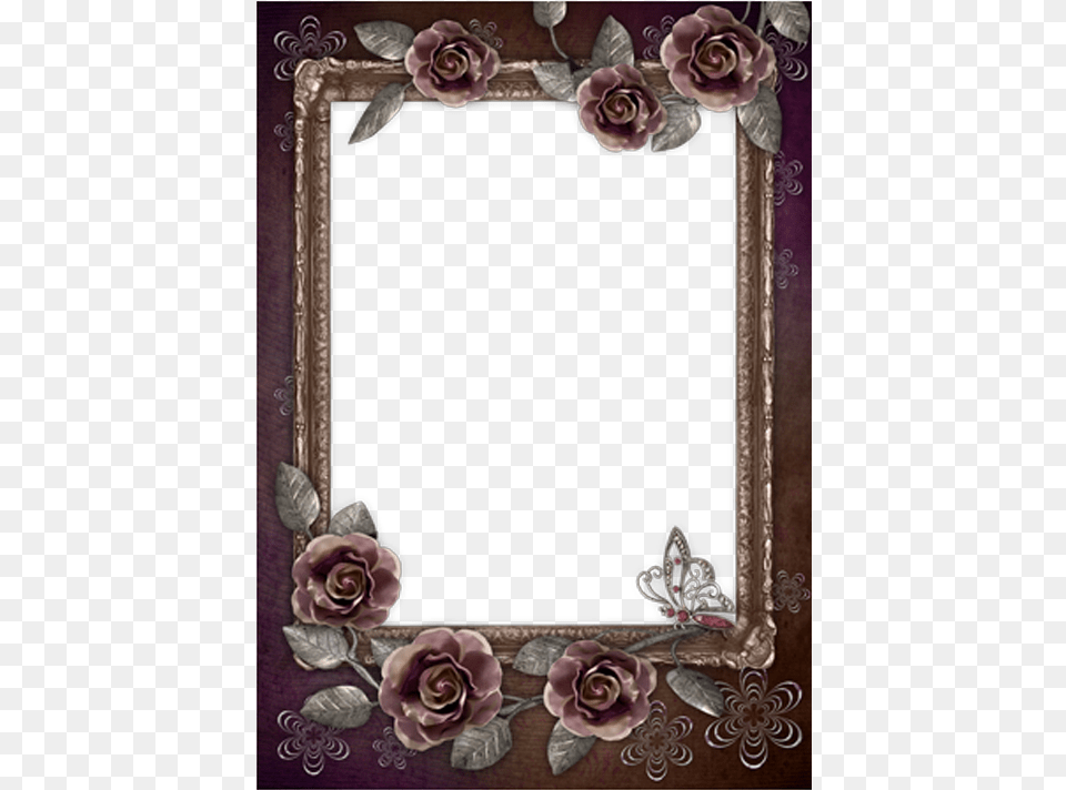 Rose Frame Flower Black Film Hq Frame Clipart Portrait Borders, Plant Png Image