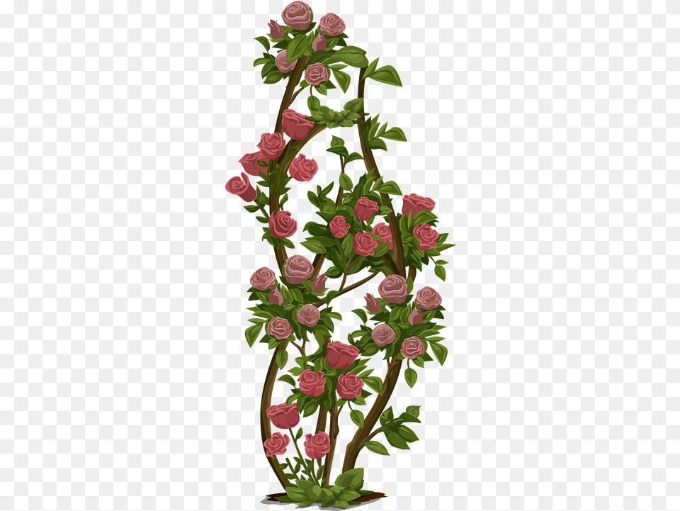 Rose Garden Rose Tree, Art, Floral Design, Flower, Flower Arrangement Free Transparent Png