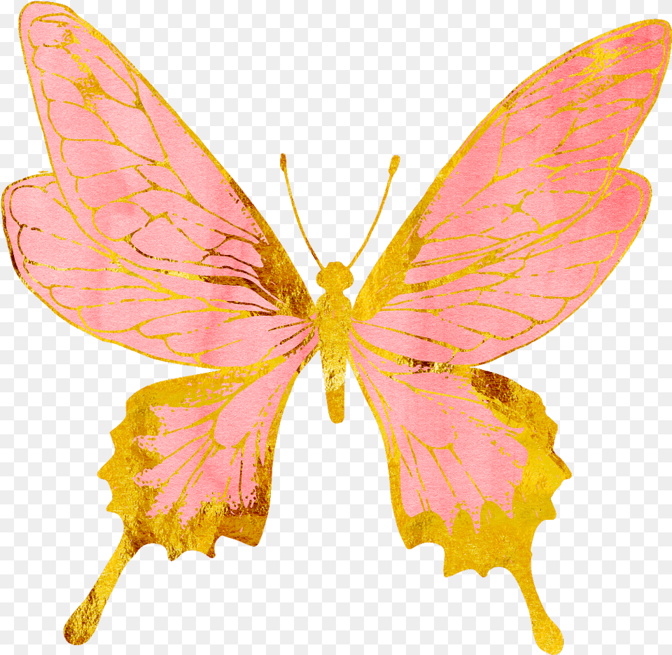 Rose Gold Butterfly Transparent, Leaf, Plant, Animal, Insect Png Image