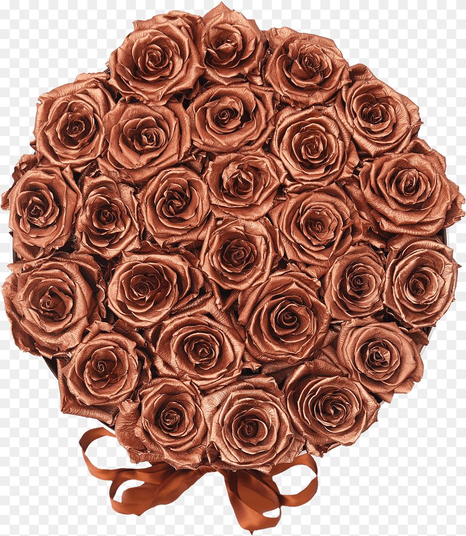 Rose Gold Garden Roses, Flower, Flower Arrangement, Flower Bouquet, Plant Free Transparent Png