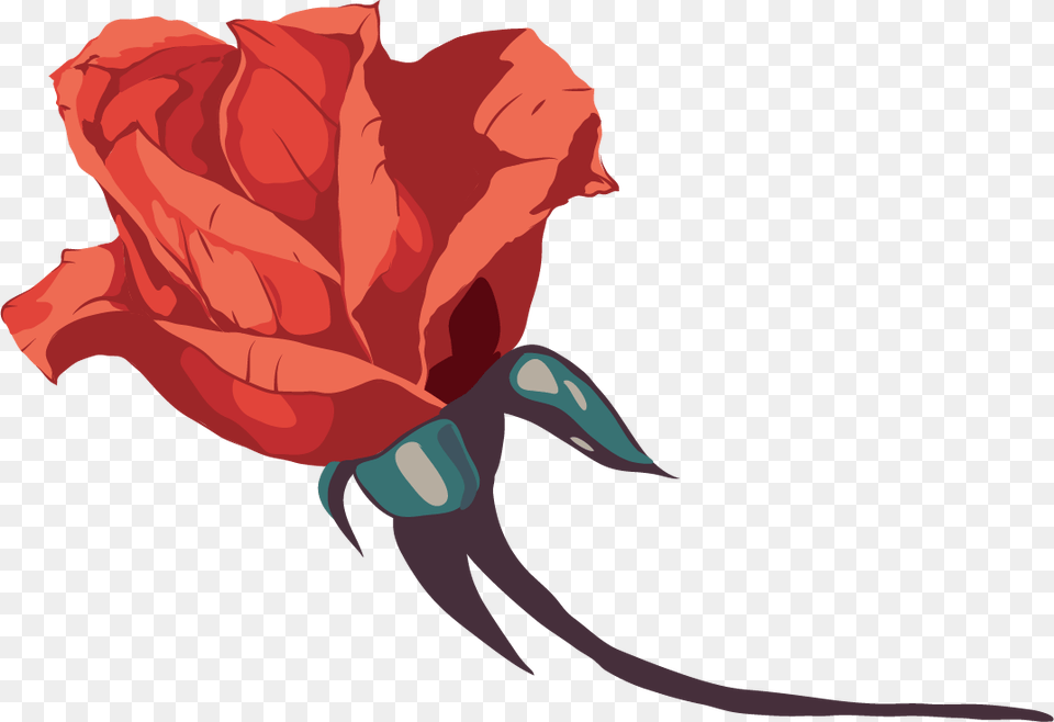 Rose Graphic, Flower, Plant, Carnation, Petal Free Png