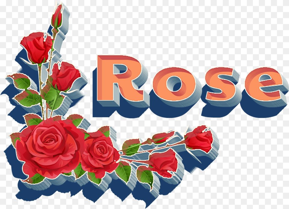 Rose Hd Garden Roses, Art, Flower, Graphics, Pattern Free Transparent Png
