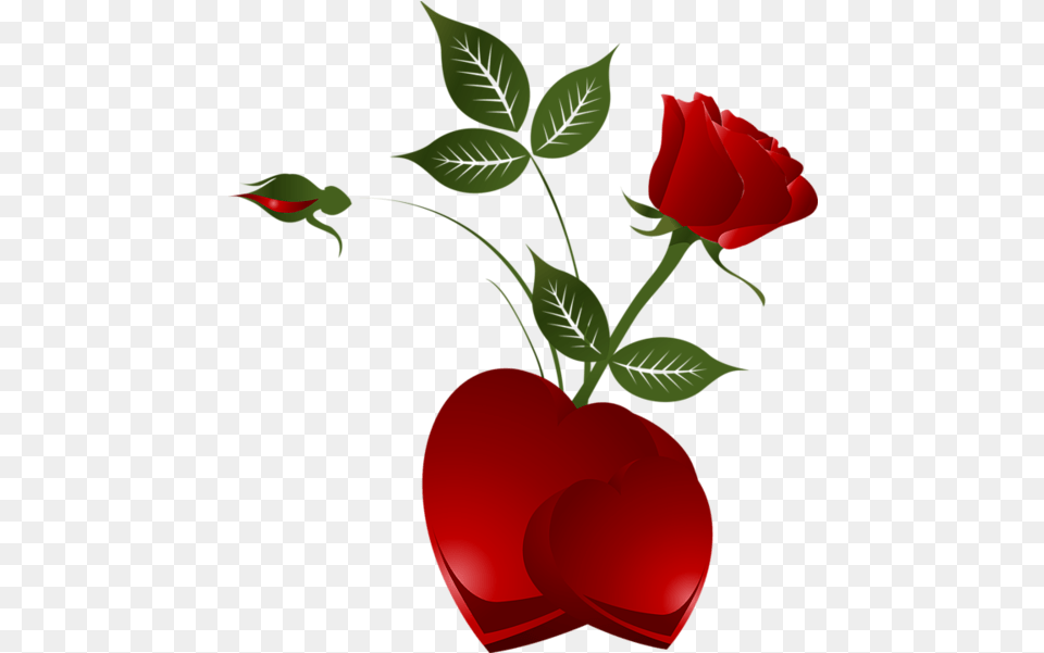 Rose Heart Clipart Picture Red Rose With Heart, Flower, Plant, Petal Png Image