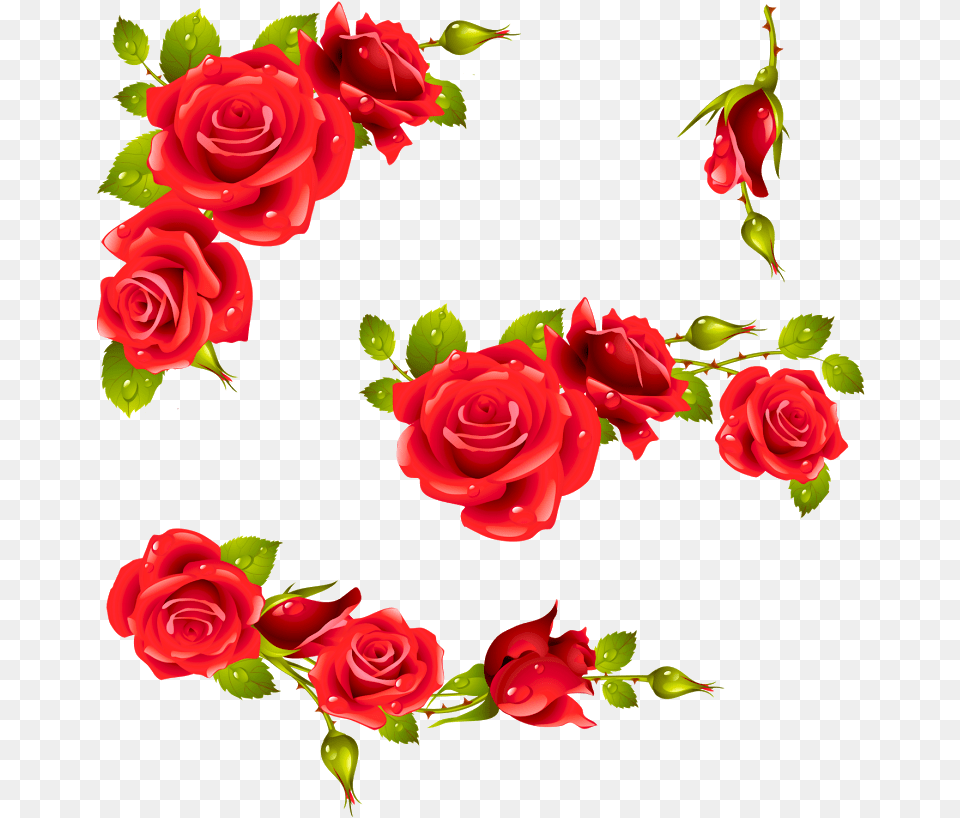 Rose Heart Frame, Flower, Plant, Art, Graphics Free Png