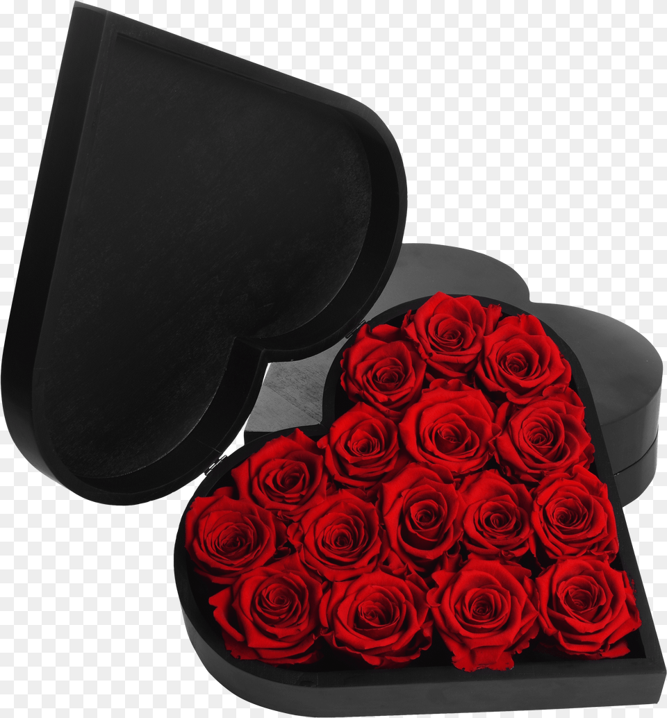 Rose Heart Garden Roses, Flower, Plant, Electronics, Speaker Free Png Download