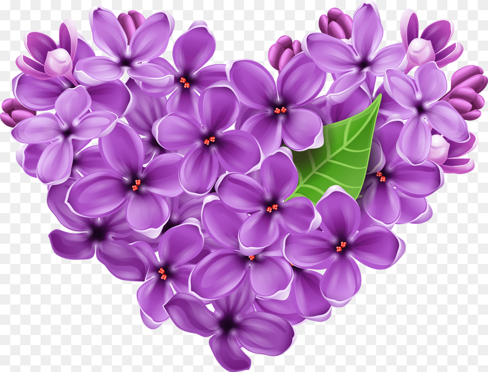 Rose Heart Photo Mart Transparent Lilac Clipart, Flower, Plant Free Png Download