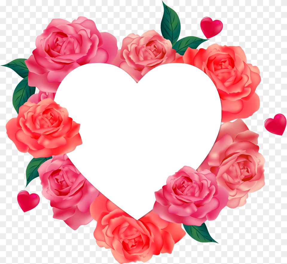 Rose Heart Valentine Background Download Searchpngcom 7th February 2020 Rose Day, Flower, Plant, Petal Png Image