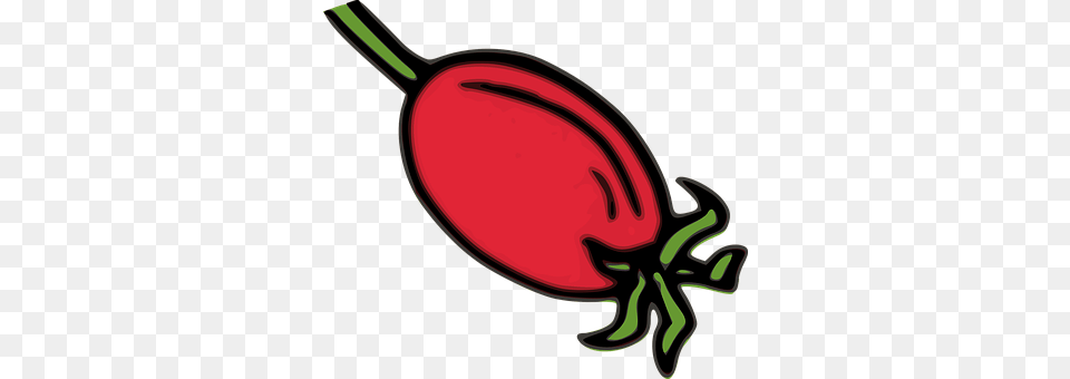 Rose Hip Food, Produce, Appliance, Blow Dryer Png Image