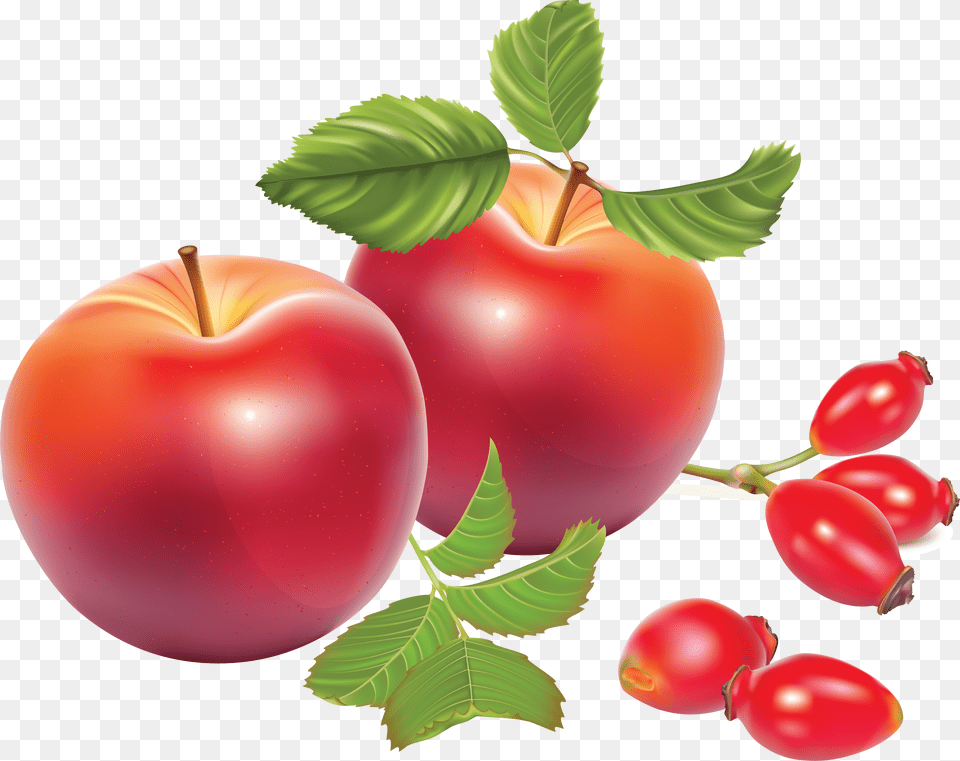 Rose Hip, Food, Fruit, Plant, Produce Free Transparent Png