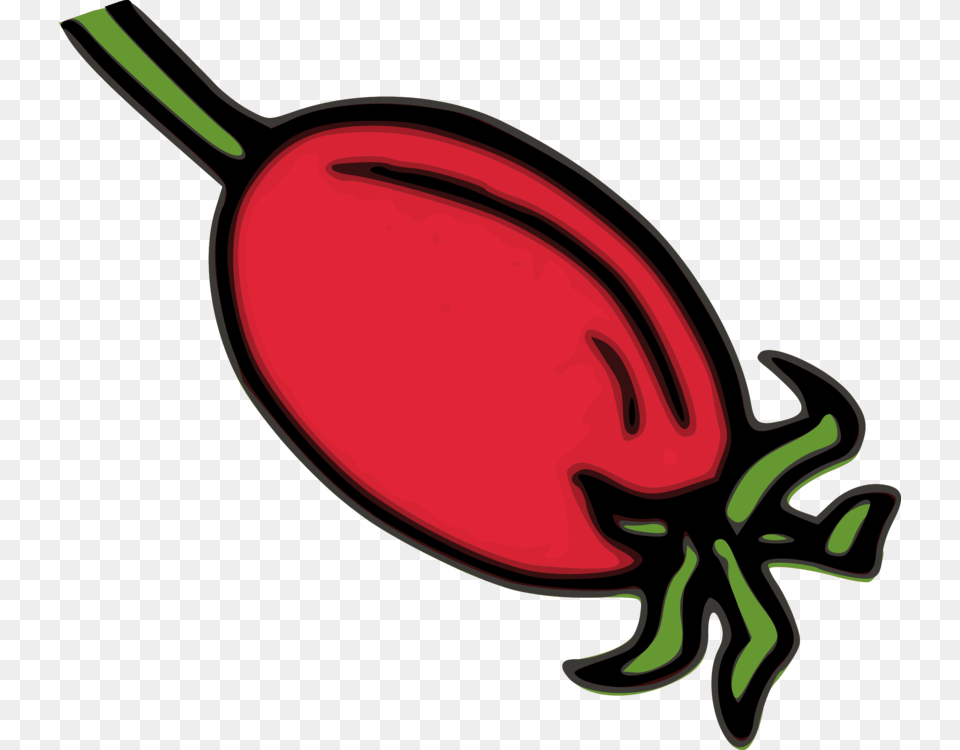Rose Hip Pelvis Fruit Herb, Food, Produce, Plant, Radish Png Image