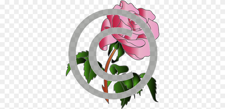 Rose Illustration, Flower, Geranium, Plant, Green Free Png