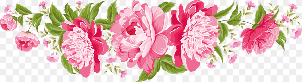 Rose Image Hd Borders, Flower, Plant, Peony, Art Png