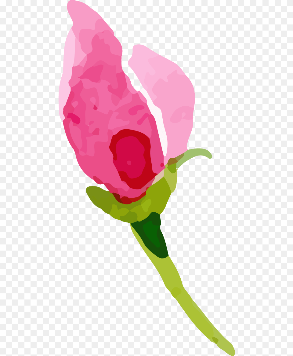 Rose Images A Flower That Speaks Only, Plant, Petal, Person Png Image