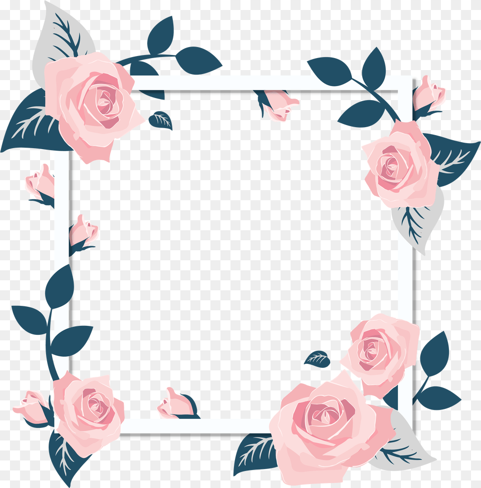 Rose Images U2013 A Flower That Speaks Only Frame Flower, Plant, Art Png Image