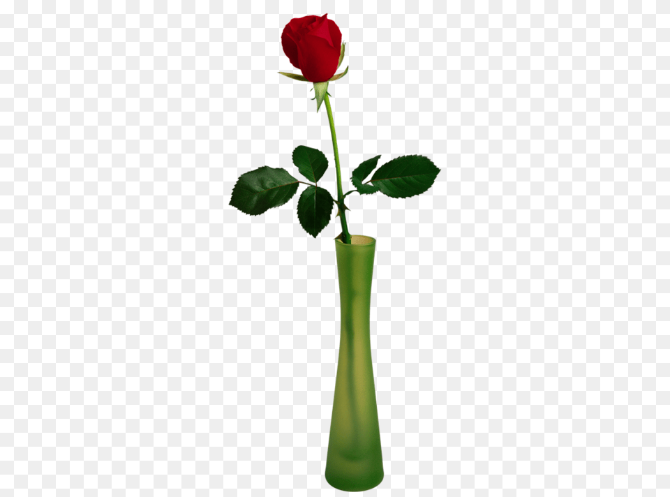 Rose In Vase, Flower, Jar, Plant, Pottery Free Png