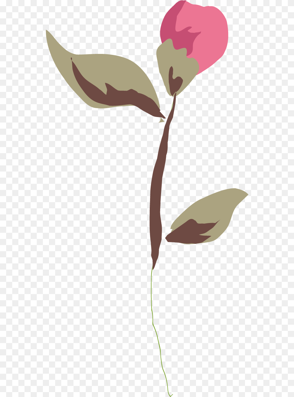 Rose Leaf, Flower, Petal, Plant, Animal Png