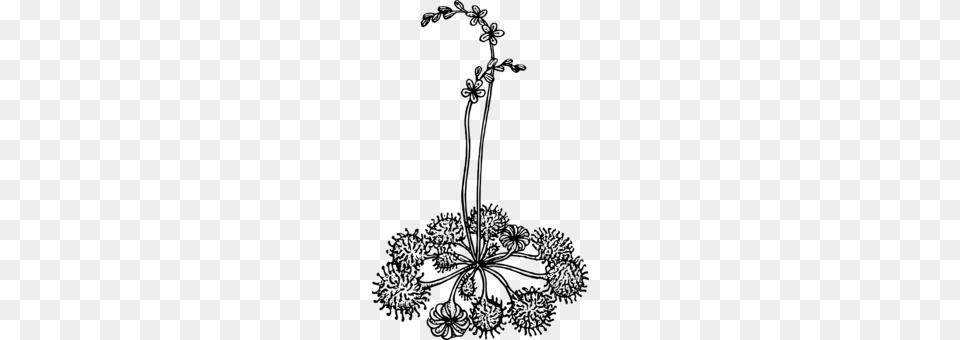 Rose Leaf Line Art Floral Design Plant Stem, Gray Free Png