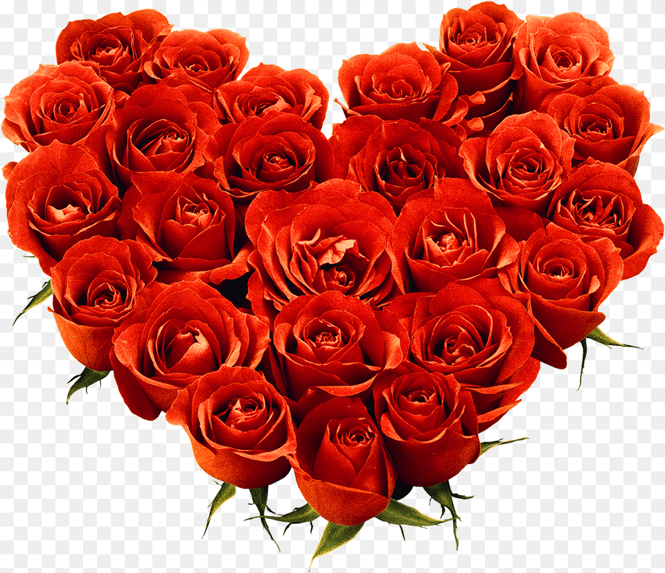 Rose Love Flower Bouquet De Rose, Plant, Flower Arrangement, Flower Bouquet Free Png Download