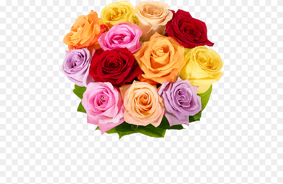 Rose Mothers Day Flowers, Flower, Flower Arrangement, Flower Bouquet, Plant Free Png Download