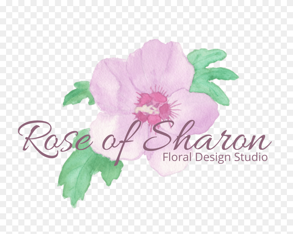 Rose Of Sharon Floral Design Studio Lilac, Anther, Flower, Geranium, Plant Free Transparent Png