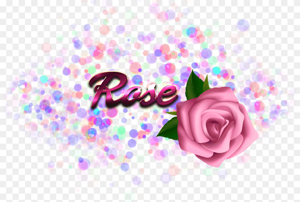 Rose Olive Name, Art, Flower, Graphics, Plant Free Transparent Png