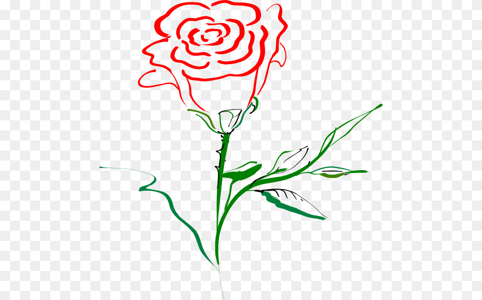 Rose Outline Clip Art, Flower, Plant, Carnation, Pattern Free Png