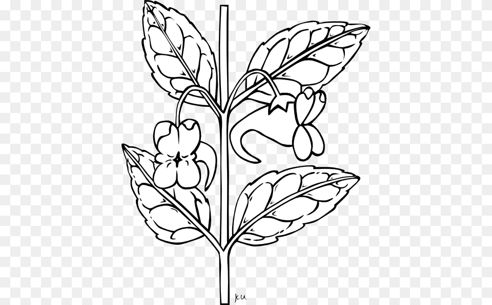 Rose Outline Clip Art, Plant, Leaf, Drawing, Stencil Free Transparent Png