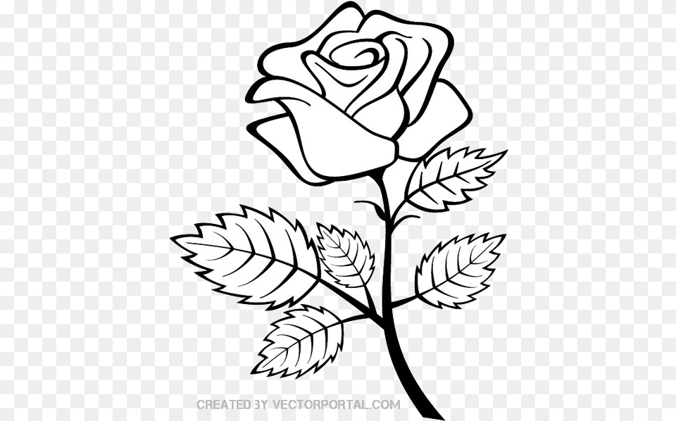 Rose Outline Clipart Clip Art Outline Of Rose Flower, Plant, Leaf Free Png