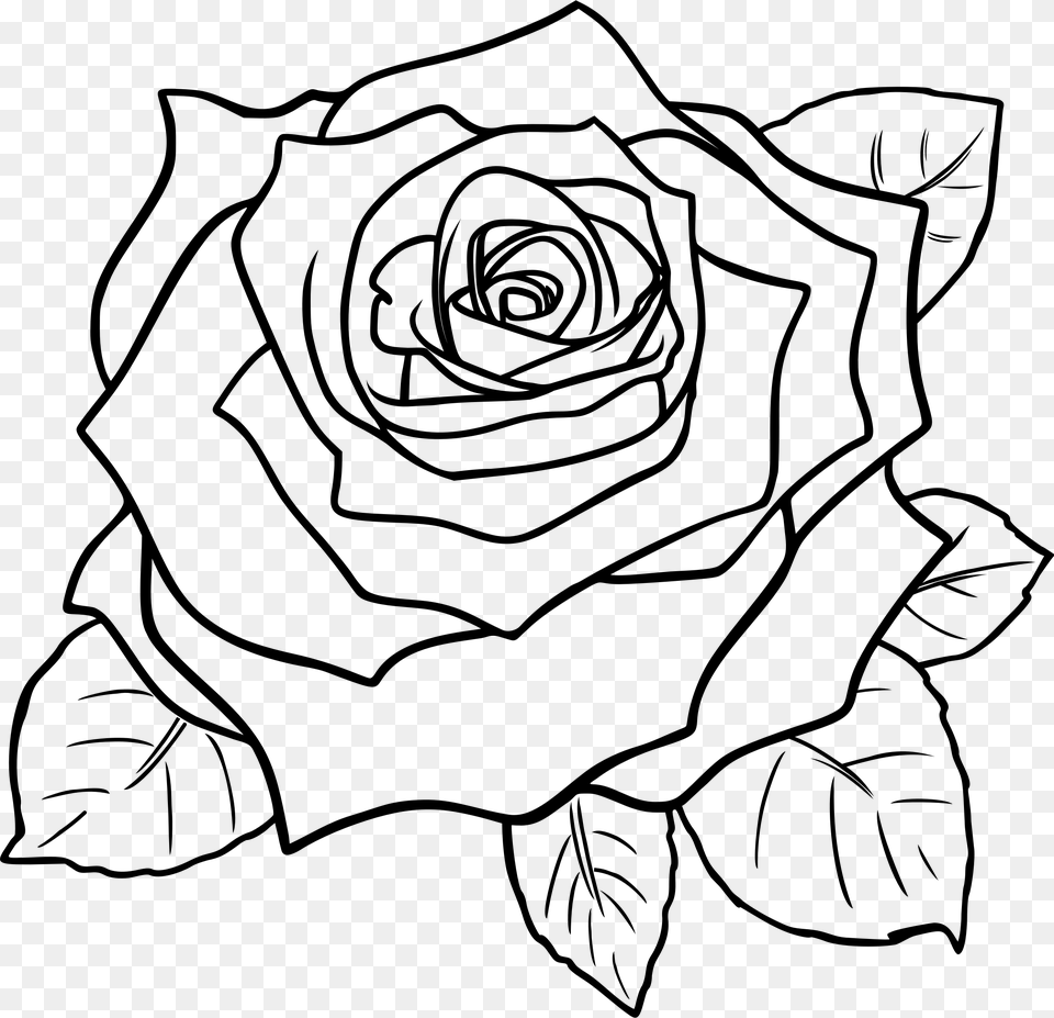 Rose Outline Draw A Rose Step, Gray Png
