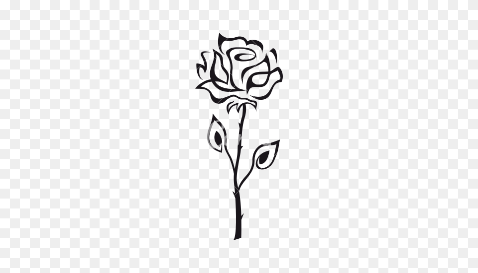Rose Outline Realistic Drawing Rose With Thorns Outline Images, Lighting Png