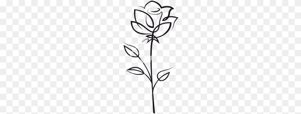 Rose Outline Rose Flower Outline Icons By Canva Rose, Art, Plant Png