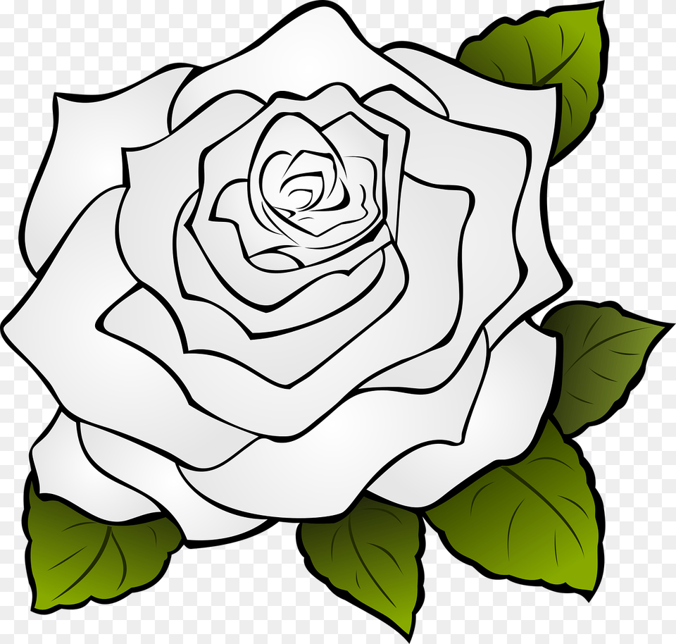 Rose Outline Transparent, Flower, Plant Png Image