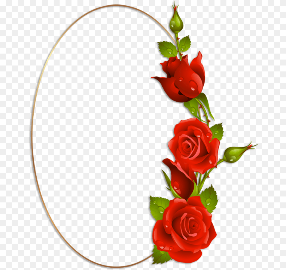 Rose Oval Border, Flower, Flower Arrangement, Plant, Pattern Png Image