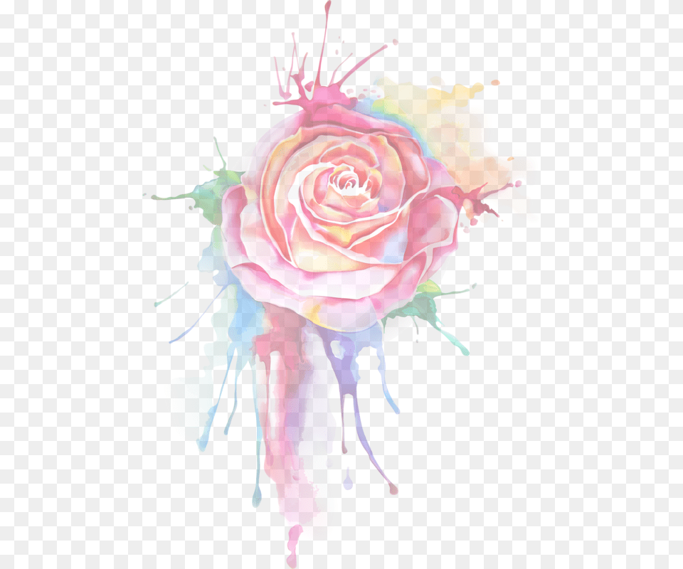 Rose Painting Download Watercolor Paint Splash, Art, Flower, Flower Arrangement, Flower Bouquet Png