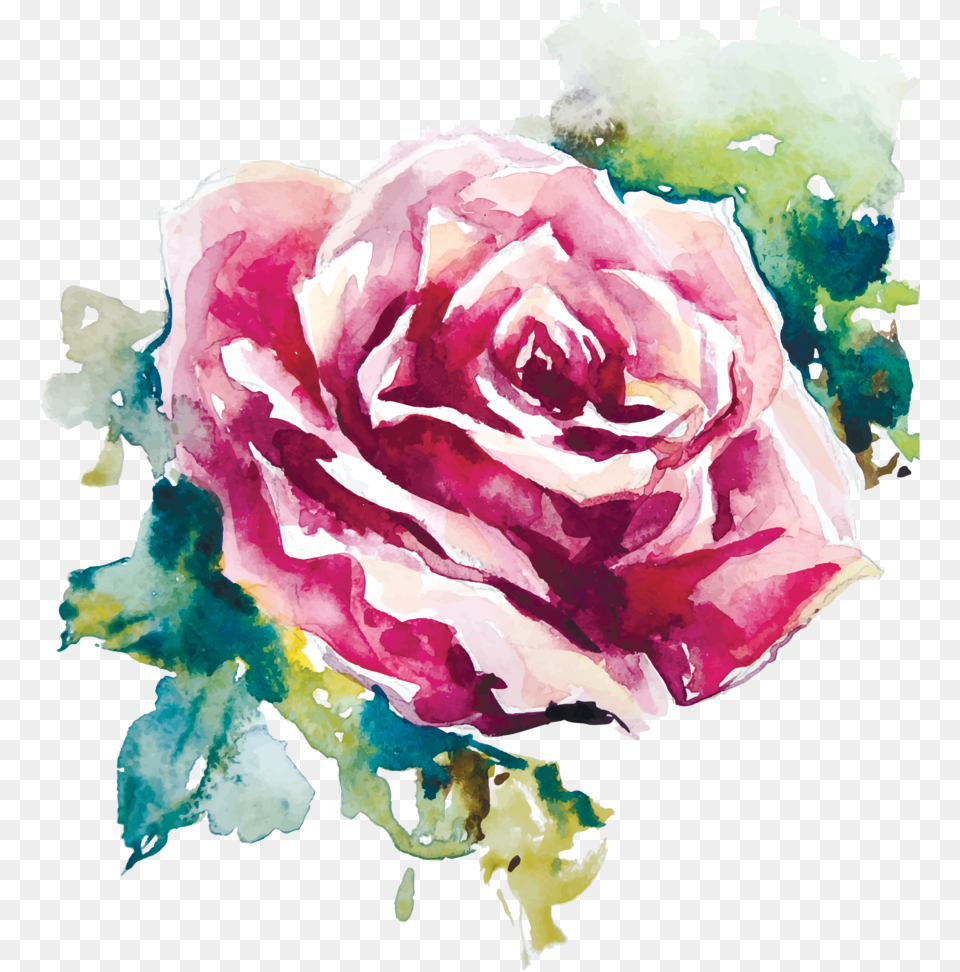 Rose Painting Vector Download Rose Flower Watercolor Painting, Plant, Art Png