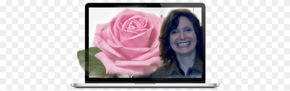 Rose Papworth Teacher, Plant, Flower, Adult, Wedding Free Png