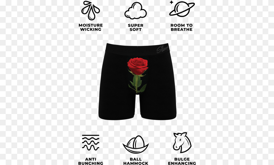 Rose Petal Blooming Boxersitemprop Image Tintcolor American Eagle Boxers Guide, Clothing, Flower, Plant, Shorts Free Png